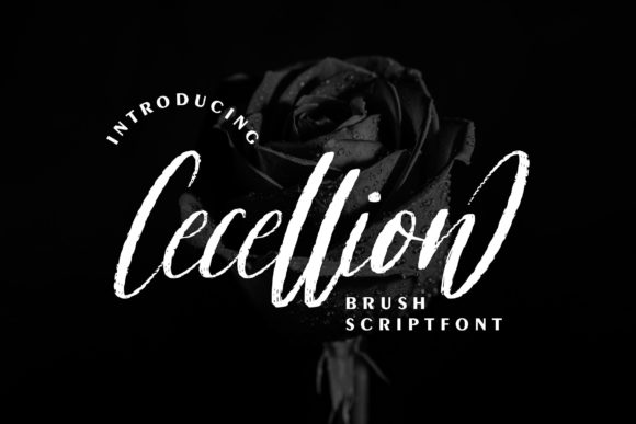 Cecellion: A Script Handwritten Font for Eye-Catching Branding and Campaigns