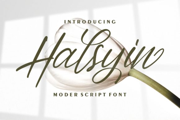 Halsyin: A Script Handwritten Font for Polished Branding