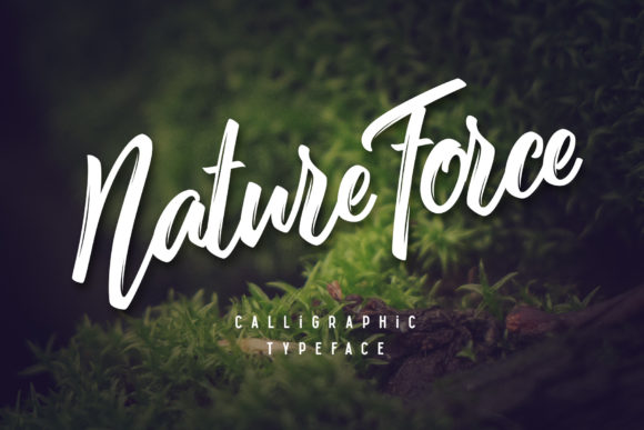 Nature Force: A Script Handwritten Font for Dynamic Web Design