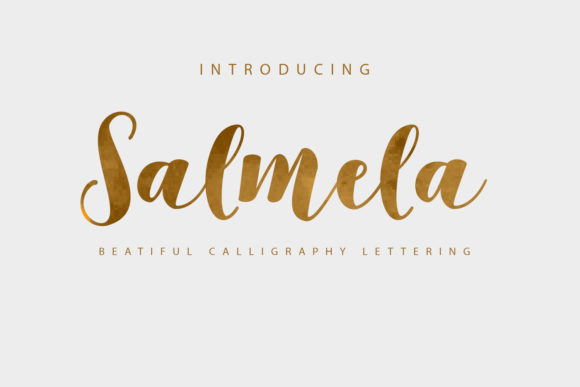 Salmela: A Script Handwritten Font for Editorial Design