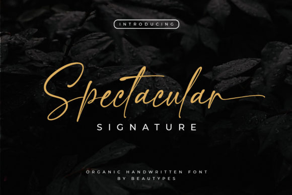 Spectacular Signature: A Script Handwritten Font for Creative Crafters