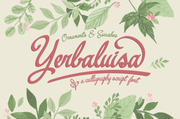 Yerbaluisa: A Script Handwritten Font for Branding Success